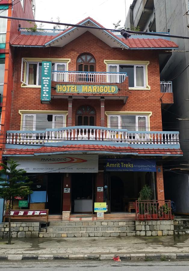 Hotel Marigold Pokhara Dış mekan fotoğraf