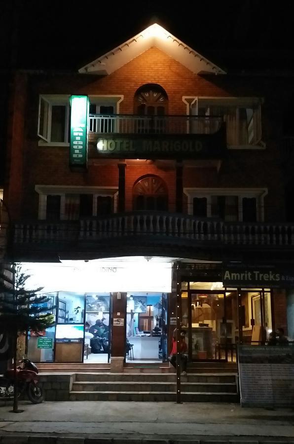 Hotel Marigold Pokhara Dış mekan fotoğraf